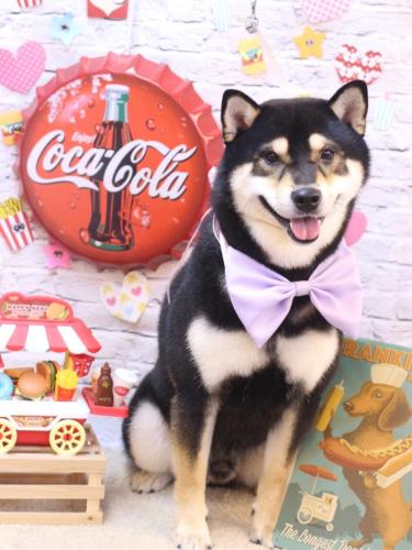 20230909ココくん